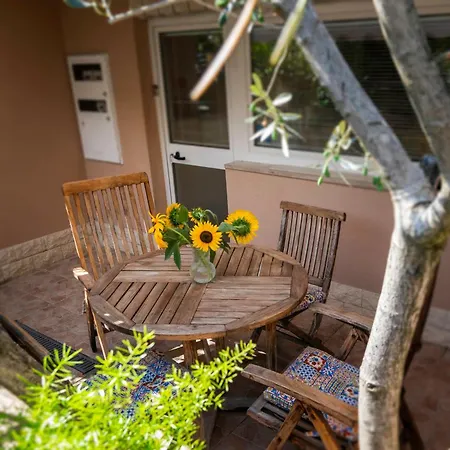 Tatil Evi Brilliant Jk