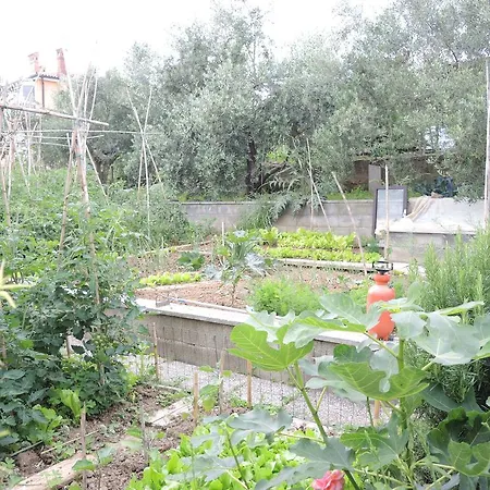 Brilliant Jk Дом отдыха *