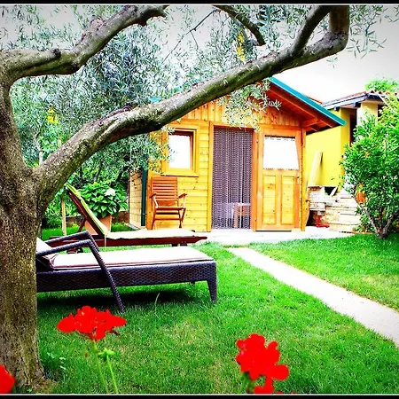 Brilliant Jk Portorož