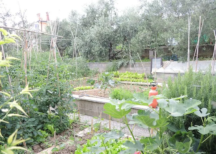 Brilliant Jk Сasa de vacaciones *